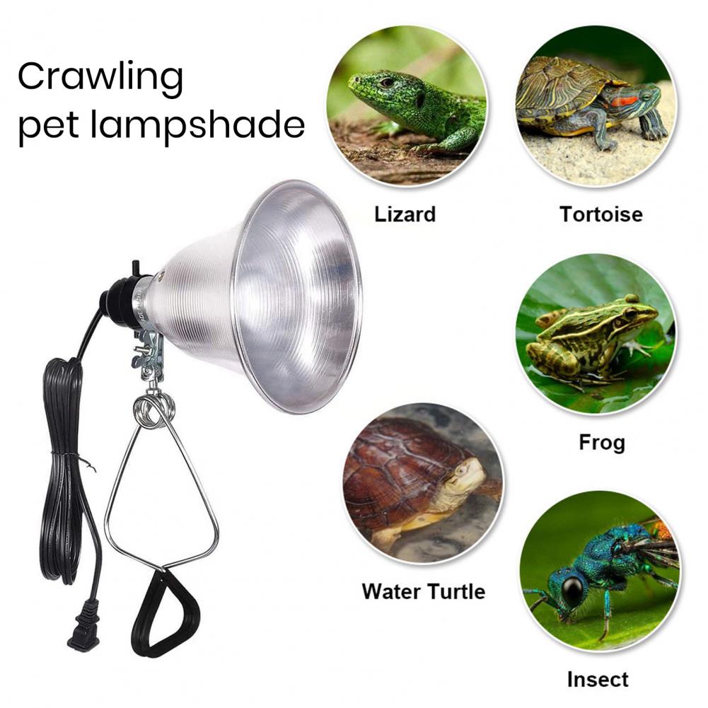Lampshade for Table Lamp Photo - Photography Lighting Workshops recension och pris